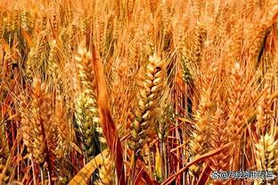 Gạo: Quốc Mễ niêm yết giá 2 triệu euro cho Sâm Tây, Ma - rốc - ta cân nhắc đưa tiền đạo vào cửa sổ mùa đông